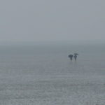 Es regnet und zwei Menschen watten bei Ebbe durchn das Wattenmehr. Sie sind am Horizon zu sehen und tragen jeweils einen Regenschirm.