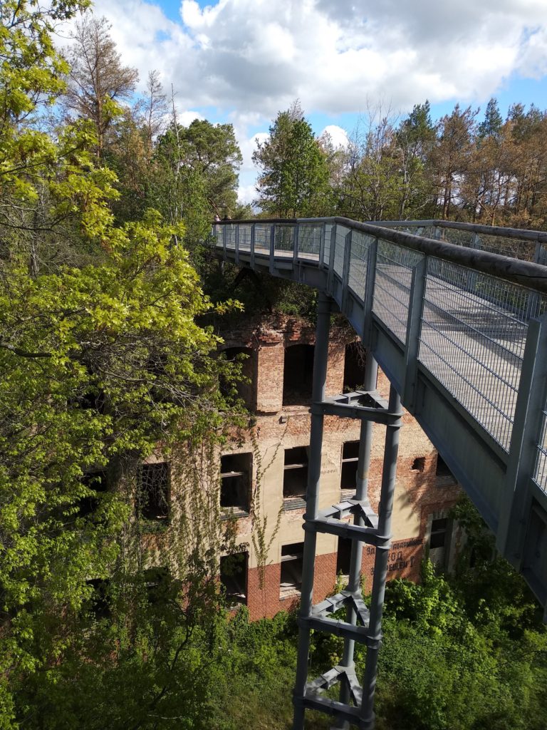 Baumwipfelpfad, der über verlassenen Hauserruinen führt-